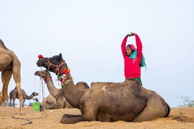 Portret młodej indyjskiej kobiety z Rajasthani w kolorowych tradycyjnych ubraniach niosącej wielbłąda w Pushkar