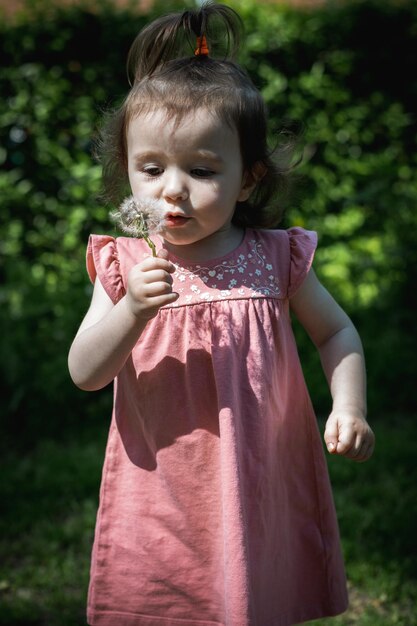 Portret piękna mała dziewczynka z dandelion