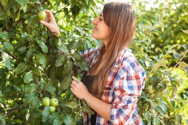 Portret pięknej kobiety zbierającej jabłko z drzewa w letni dzień