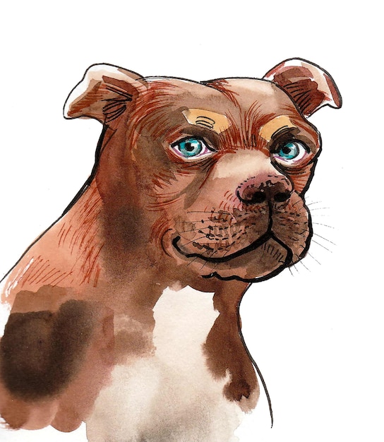 Portret psa. Rysunek tuszem i akwarelą