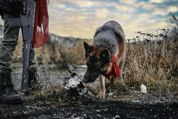 Zdjęcie portret psa stojącego na polu