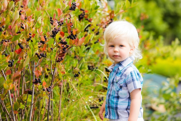 Portret śliczny blond chłopiec z długimi włosami pozuje na zewnątrz w pobliżu krzaków z czarnymi jagodami Ciekawy maluch w ogrodzie botanicznym Dziecko odkrywa przyrodę