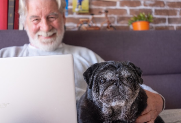 Portret Starego Czarnego Mopsa Siedzącego Na Kanapie W Domu, Podczas Gdy Starszy Właściciel Uśmiecha Się Na Laptopie