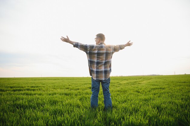 Portret starszego rolnika stojącego na polu pszenicy, badającego uprawy w ciągu dnia