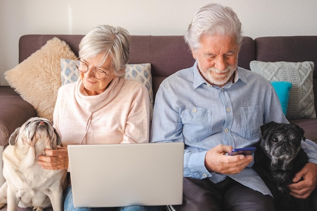 Portret starszej pary rasy kaukaskiej siedzącej na kanapie z dwoma starymi mopsami spędzającymi dobry czas z miłością Seniorzy za pomocą telefonu komórkowego i laptopa Koncepcja terapii zwierzęcej dla starszej osoby