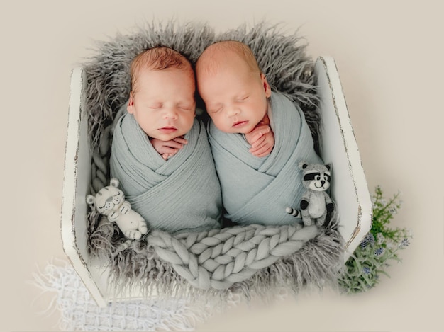 Portret studyjny noworodka bliźniaków