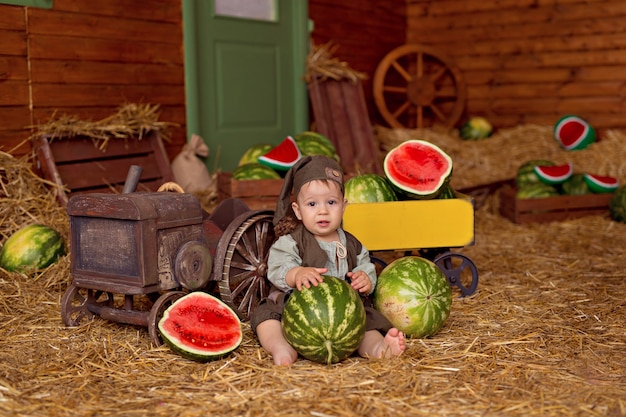 Portret szczęśliwego chłopca na wsi