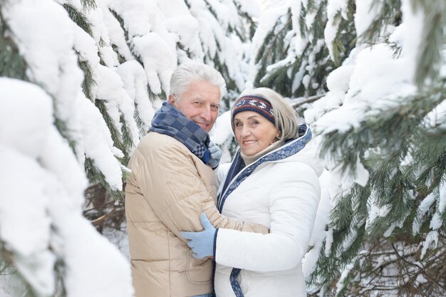 Portret szczęśliwej pary starszych w zimie na zewnątrz