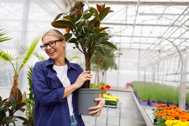Portret szczęśliwej uśmiechniętej kobiety, klientki szklarni, trzymającej w dłoniach dużą roślinę doniczkową