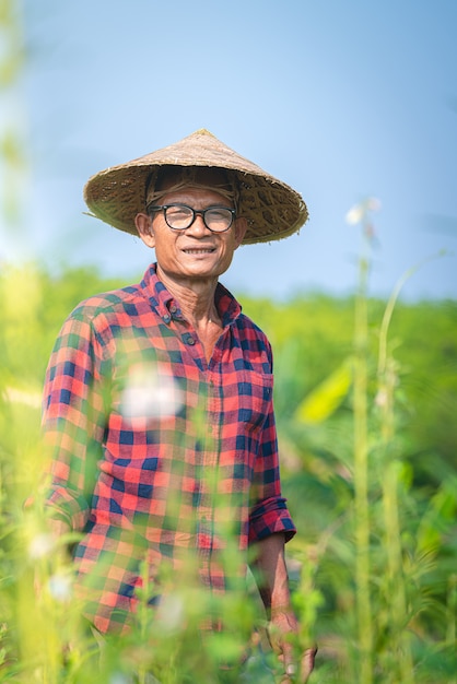 Portret szczęśliwy starszy azjatycki rolnik w Sesame Garden.