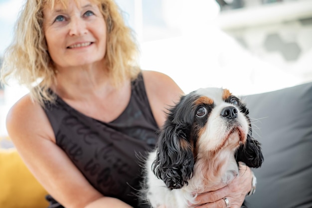 Portret uroczego psa cavalier king charles spaniel siedzącego w domu ze swoją właścicielką