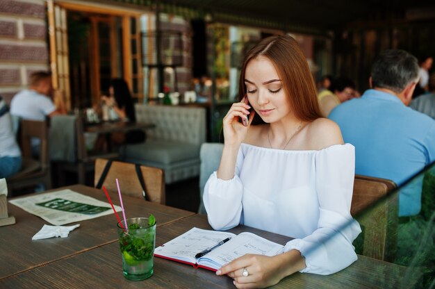 Portret wspaniały młody bizneswoman opowiada przez telefonu i pisze coś w jej czerwonym notatniku podczas gdy siedzący w kawiarni.