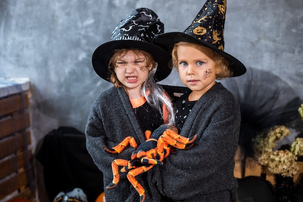 Portret, Wśród Dekoracji Na święta Halloween, Dwie Dziewczynki W Wieku 4-5 Lat Bawią Się Pająkiem Na Tle Czarno-pomarańczowych Dekoracji