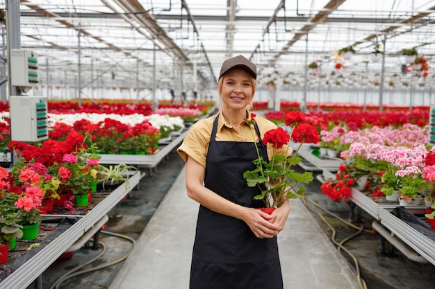 Portret zadowolonej pracownic szklarniowych z garnkiem geranium w szklarni