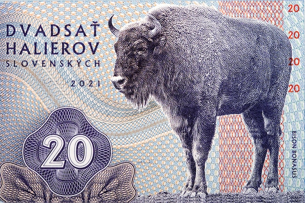 Portret żubra ze słowackich pieniędzy