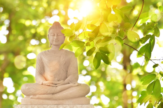 Posąg Buddy na zielonym niewyraźnym tle przyrody Koncepcja buddyjskich dni świątecznych