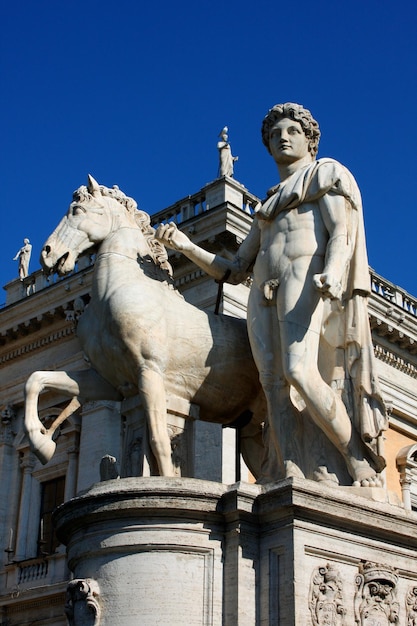 Posąg Kastora z koniem przed placem Kapitolu Rzym Włochy