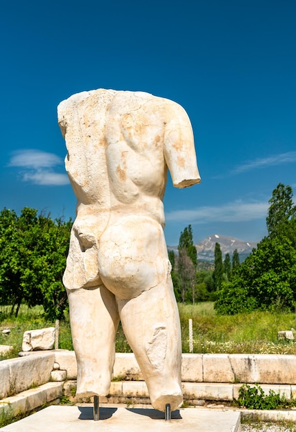 Zdjęcie posąg męskiego tułowia w aphrodisias, dziedzictwo światowe unesco w turcji