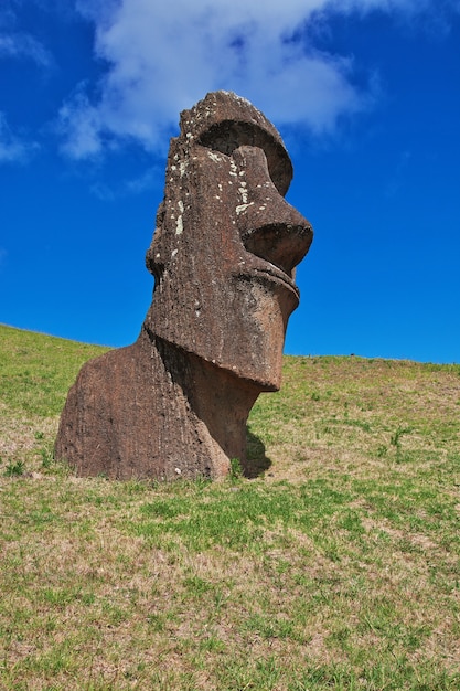 Posąg Moai w Rano Raraku na Wyspie Wielkanocnej Rapa Nui w Chile