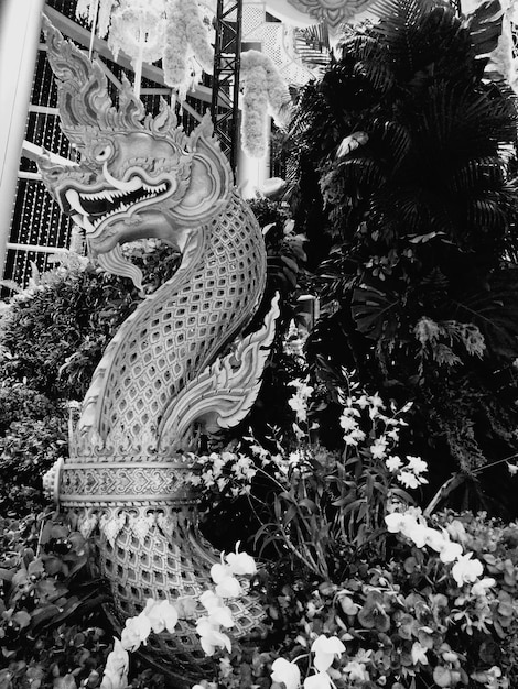 Zdjęcie posąg smoka w ogrodzie