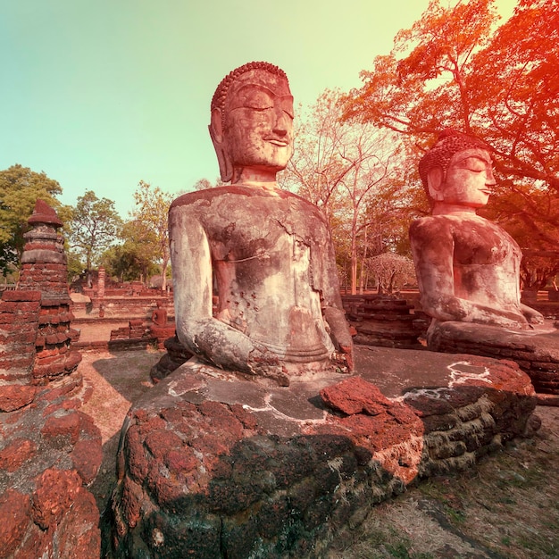 Posągi Buddy Park Historyczny Kamphaeng Phet Dystrykt Nong Pong Prowincja Kamphaeng Phet Tajlandia