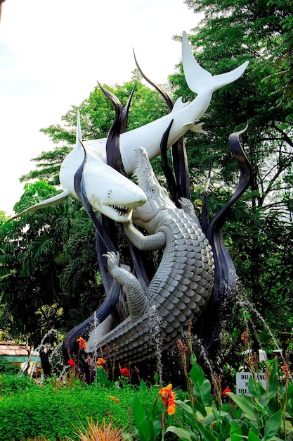 Zdjęcie posągi suro i boyo w zoo w surabaya
