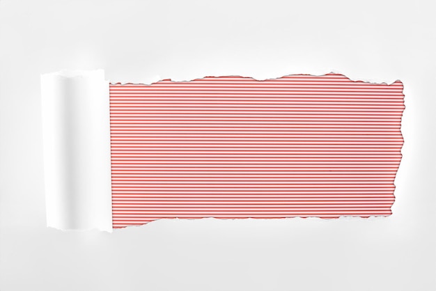 Poszarpany teksturowany biały papier ze zrolowaną krawędzią na czerwonym tle w paski
