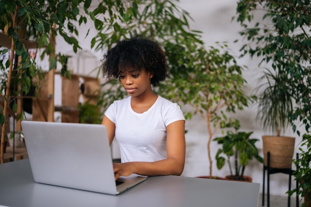 Poważna, kędzierzawa afrykańsko-amerykańska młoda kobieta pracująca, pisząca na laptopie, siedząca przy biurku w domowym biurze z nowoczesnym projektem biofilii