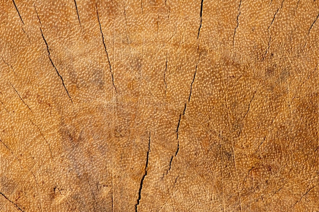 Powierzchnia Starego, Popękanego Drewna Na Naturalne Tło, W Płytkiej Ostrości