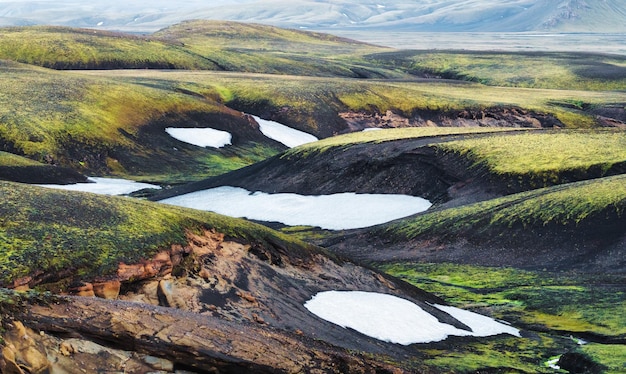 Powierzchnia Wzgórza Górskiego Z Mchem Lawy W Wulkanicznej Dziczy Na Lato W Highlands Of Iceland