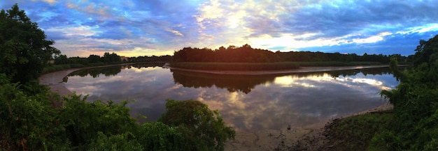 Powietrzna Panorama Widok Rzeka Na Zielonym Lesie Prostym.