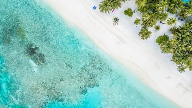 Powietrznego odgórnego widoku tropikalnej wyspy piaska biała plaża z błękitnym laguny dennym niebem w Maldives Isla