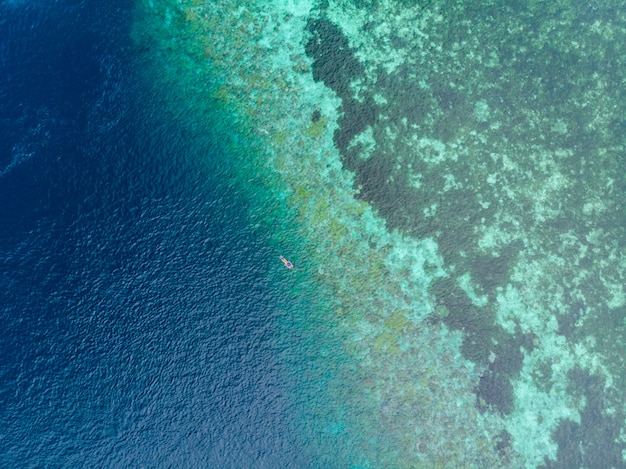 Powietrzni odgórni zestrzelają ludzi snorkeling na rafie koralowa tropikalnym morzu karaibskim, turkusowa błękit woda