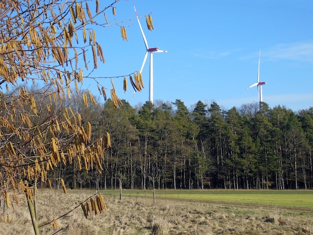 Powyżej drzew w lesie widoczne są dwa młyny wiatrowe do wytwarzania energii elektrycznej z wiatru