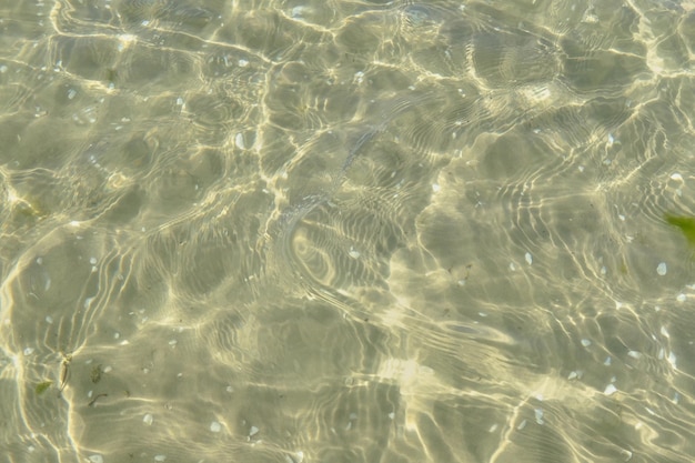 Powyżej zbliżenie światła słonecznego odbijającego się od wody na plaży z kopią miejsca Zbliżenie płytkich fal i spokojnych fal na wybrzeżu w słoneczny dzień na zewnątrz Klarowny płyn załamujący promienie słoneczne latem