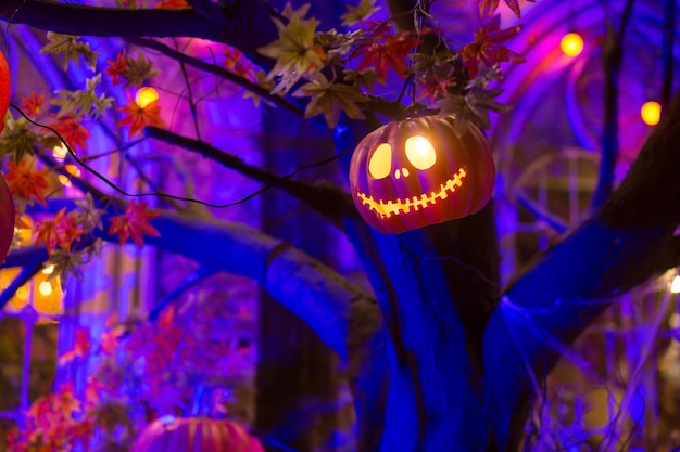 Pożądana latarnia z głową dyni jest oświetlona i ozdobiona przerażającym motywem w noc Halloween