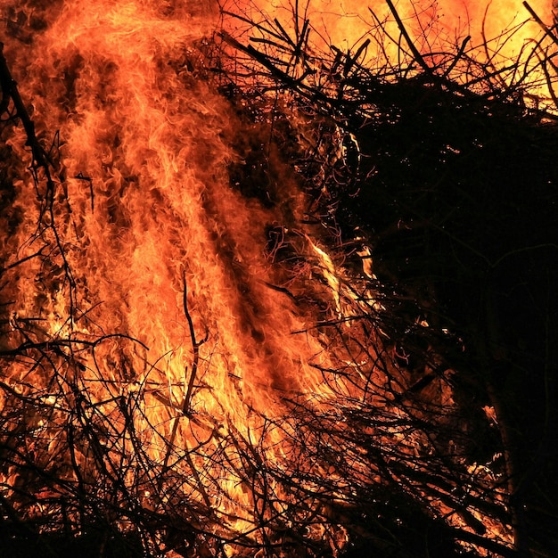 Zdjęcie pożar w lesie