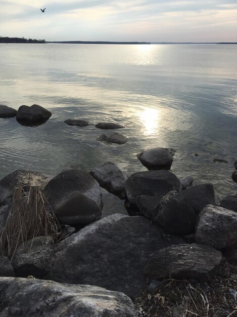 Zdjęcie poziom powierzchni piaszczystej plaży