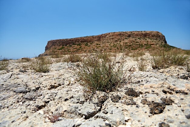 Zdjęcie poziom powierzchni skał na tle jasnego niebieskiego nieba