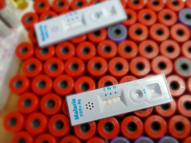 Zdjęcie pozytywny wynik testu na malarię przy użyciu kasety do szybkiego testu