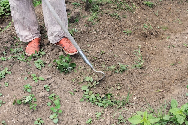 Prace w ogrodzie koszenie trawy motyką