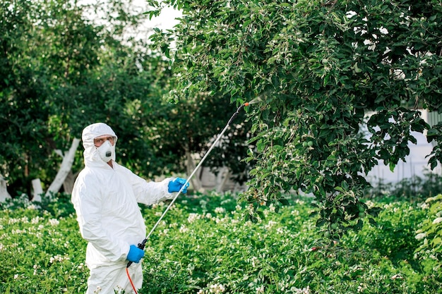 Pracownik spryskuje rośliny pestycydami organicznymi