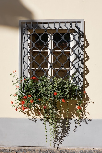 Praga żelazne kraty okno z czerwonymi kwiatami geranium. Szczegóły architektury zabytkowego budynku w stolicy Czech.