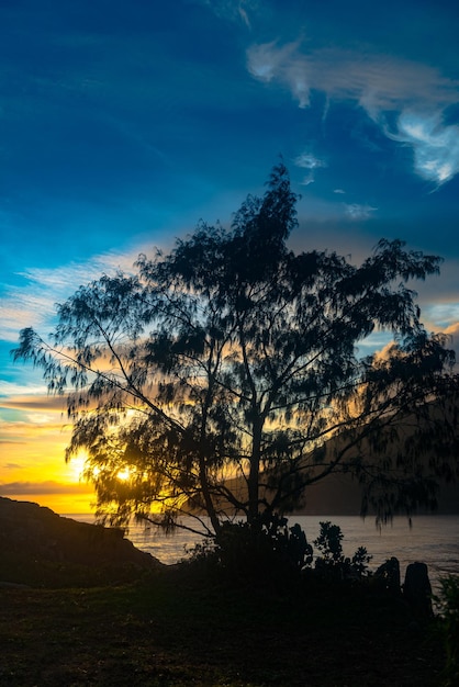 Praia da Armacao Santa Catarina Brazylia słynąca ze skalistych ścian