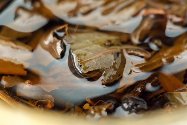 Prasowana herbata Pu erh fermentowane liście herbaty Macro z bliska Herbata browarowa