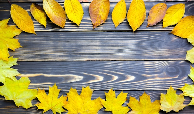 Prawdziwe jesienne liście leżące w kręgu na drewnianym tle. Zdjęcie sezonowe. Kolory żółty i zielony z teksturą. Skopiuj miejsce. Pocztówka z listopada.
