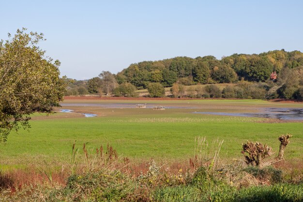 Prawie nie ma wody w zbiorniku Weir Wood Reservoir