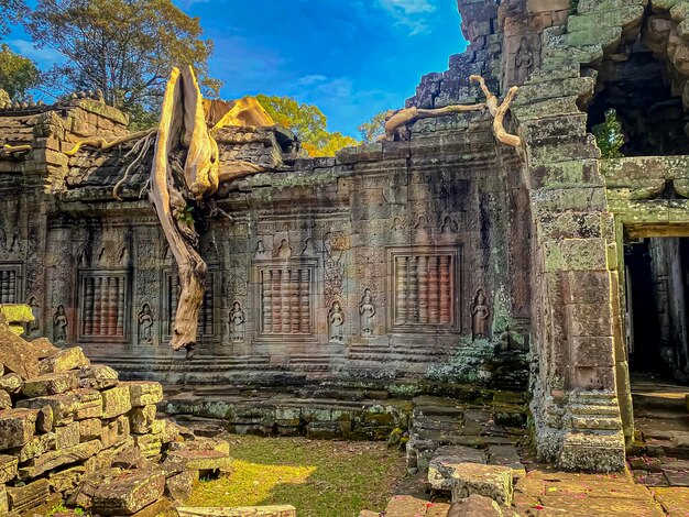 Preah Khan Preah Khan Kampong Svay miejsce archeologiczne Angkor Kambodża