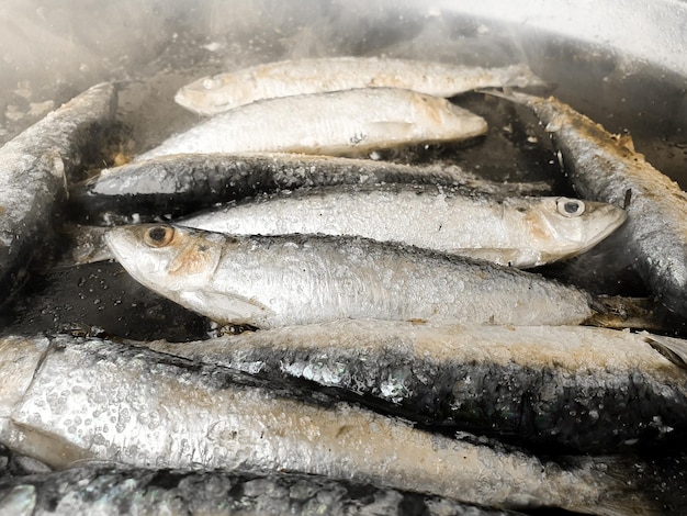 Preparacin de sardinas a la plancha tipicas de los pueblos costeros