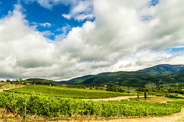 Prestiżowa Winnica Na Wsi W Chianti (toskania, Włochy)